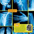 Copertă produs Enciclopedia corpului uman - gallery small 