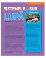Copertă produs Enciclopedia corpului uman - thumb 5