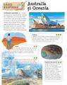 Copertă produs Enciclopedia copilului deştept - thumb 2