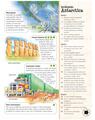 Copertă produs Enciclopedia copilului deştept - thumb 3