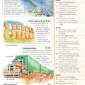 Copertă produs Enciclopedia copilului deştept - gallery small 