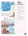 Copertă produs Enciclopedia copilului deştept - thumb 5