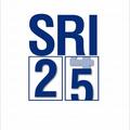 Copertă produs Monografia SRI 1990-2015 - gallery small 