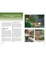 Copertă produs Iazuri de grădină. Planificare, construcţie, &icirc;ntreţienere - thumb 3