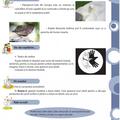 Copertă produs Activităţi de vacanţă pentru clasa a II-a - gallery small 