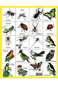 Copertă produs Luna-Betiluna și Dora-Minodora într-un gâz-album cu păsărele