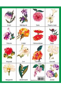 Copertă produs Luna-Betiluna, Dora-Minodora şi grădina