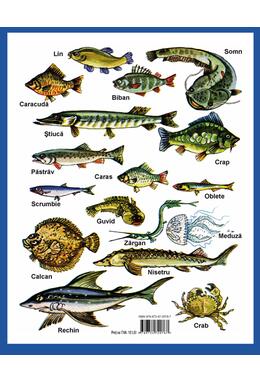 Copertă produs Luna-Betiluna și Dora-Minodora în țara lui Pește-Mămăligă-Prăpădește