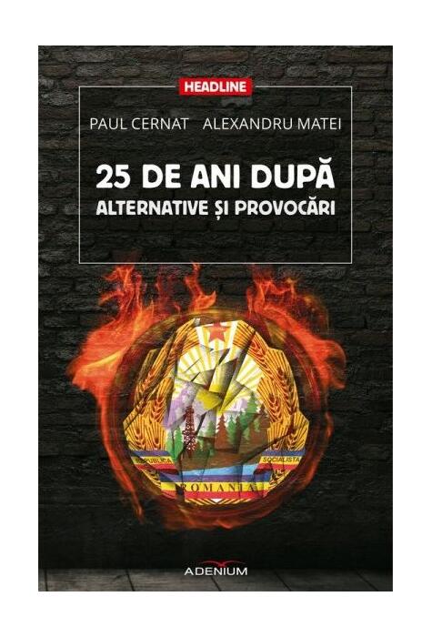 Copertă produs 25 de ani după. Alternative și provocări