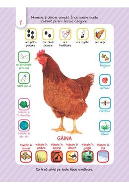 Copertă produs Animale. Junior. Scrie și șterge! (2-5 ani)