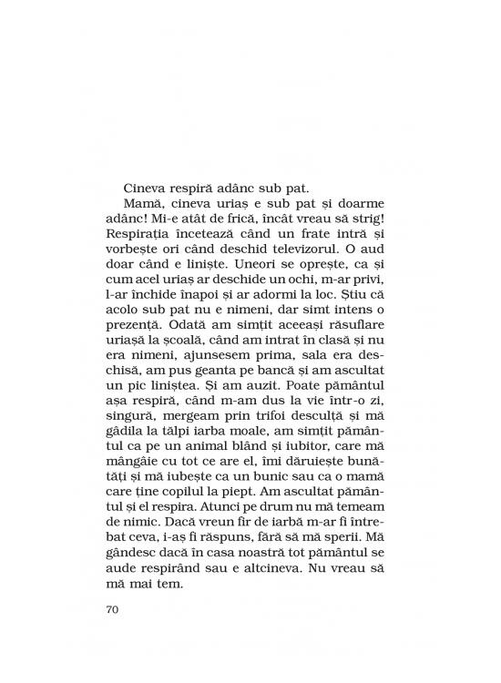 Copertă produs Kinderland - gallery big 5