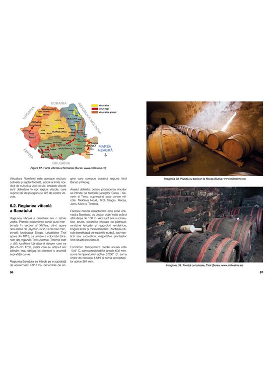 Copertă produs Pivniţe de vinuri - gallery big 3
