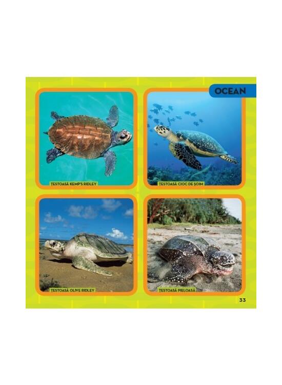 Copertă produs Prima mea carte despre animale - gallery big 5