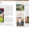 Copertă produs Cioplitul &icirc;n lemn pentru copii - gallery small 