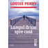 Copertă produs Lungul drum spre casă (Vol. 10)