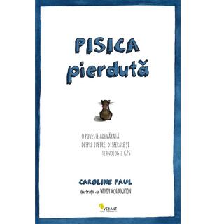 Pisica pierdută