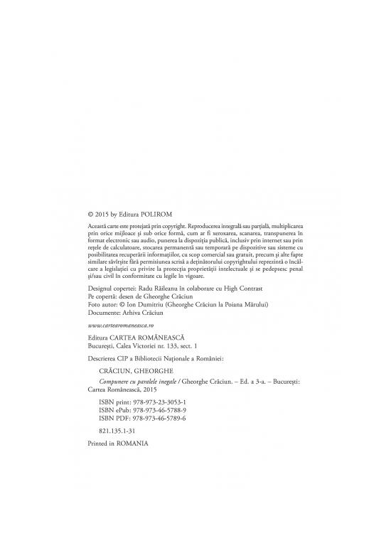 Copertă produs Compunere cu paralele inegale - gallery big 4