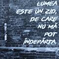 Copertă produs Lumea este un zid de care nu mă pot &icirc;ndepărta - gallery small 