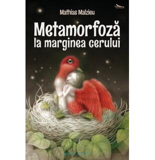 Metamorfoză la marginea cerului