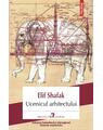 Copertă produs Ucenicul arhitectului - thumb 1