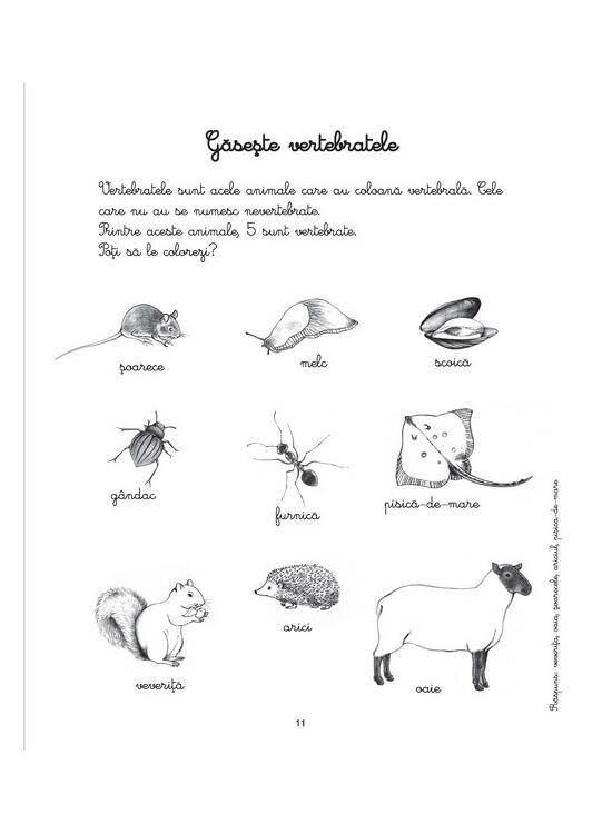 Copertă produs Activitățile mele Montessori. Animale și insecte (4+ ani) - gallery big 2