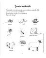 Copertă produs Activitățile mele Montessori. Animale și insecte (4+ ani) - thumb 2