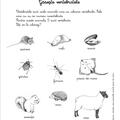 Copertă produs Activitățile mele Montessori. Animale și insecte (4+ ani) - gallery small 