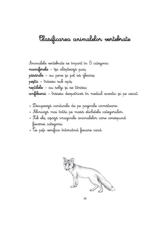 Copertă produs Activitățile mele Montessori. Animale și insecte (4+ ani) - gallery big 3