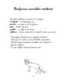 Copertă produs Activitățile mele Montessori. Animale și insecte (4+ ani) - thumb 3