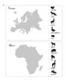Copertă produs Activitățile mele Montessori. Geografie (4+ ani) - thumb 3