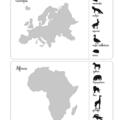 Copertă produs Activitățile mele Montessori. Geografie (4+ ani) - gallery small 