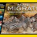 Copertă produs Mari migrații - gallery small 
