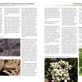 Copertă produs Dăunători și agenți patogeni &icirc;n grădină (Ediția a II-a revizuită) - gallery small 
