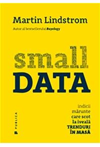 Copertă produs Small Data