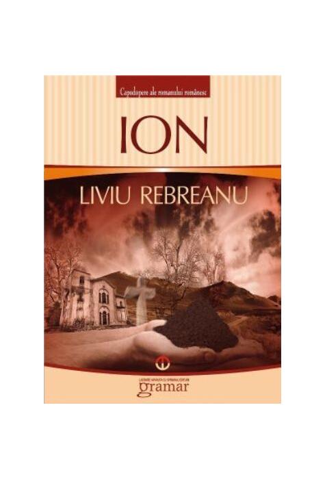 Copertă produs Ion