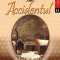 Copertă produs Accidentul - gallery small 