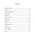 Copertă produs Noapte de sărbătoare şi alte povestiri - gallery small 