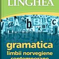Copertă produs Gramatica limbii norvegiene contemporane - gallery small 