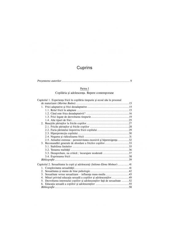 Copertă produs Copilăria și adolescența. Provocări actuale în psihologia educației și dezvoltării - gallery big 4