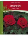 Copertă produs Trandafirii: &icirc;ngrijire şi tăiere - thumb 1