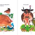 Copertă produs Măgăruș-Urechiuș - gallery small 