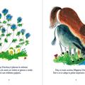 Copertă produs Măgăruș-Urechiuș - gallery small 