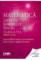 Matematică. Exerciţii şi probleme pentru clasa a VI-a. Semestrul al II-lea