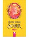 Copertă produs Povestea prinţului Sobur - thumb 1