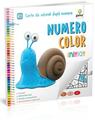 Copertă produs NumeroColor Inițiat. Carte de colorat după numere - thumb 1