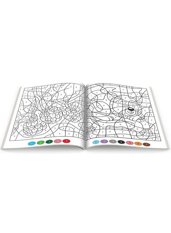 Copertă produs NumeroColor Inițiat. Carte de colorat după numere - gallery big 2