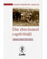 Copertă produs Din zbuciumul captivităţii. Centenarul Primului Război Mondial - thumb 1