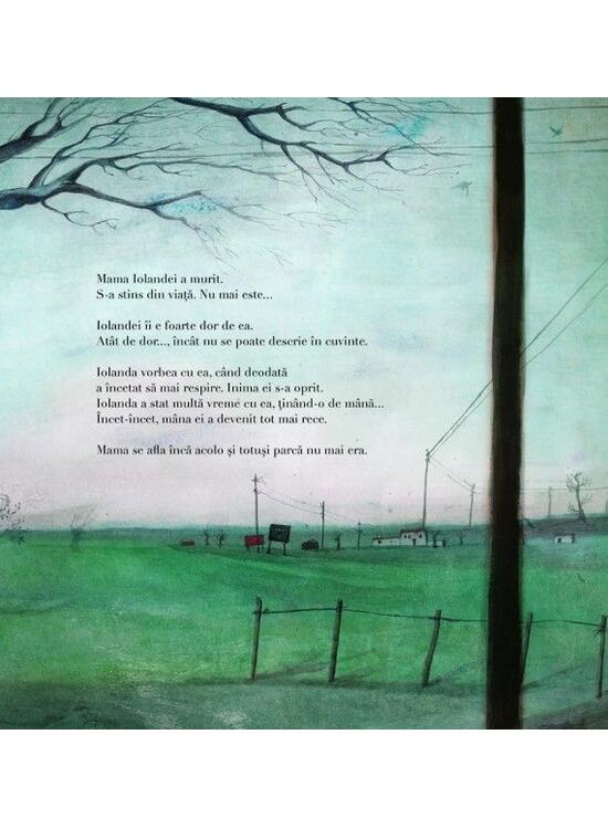 Copertă produs Pretutindeni, peste tot în jur - gallery big 7