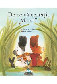 Copertă produs De ce vă certaţi, Matei?