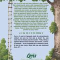 Copertă produs Portalul magic. Comoara piraților (Vol. 4) - gallery small 